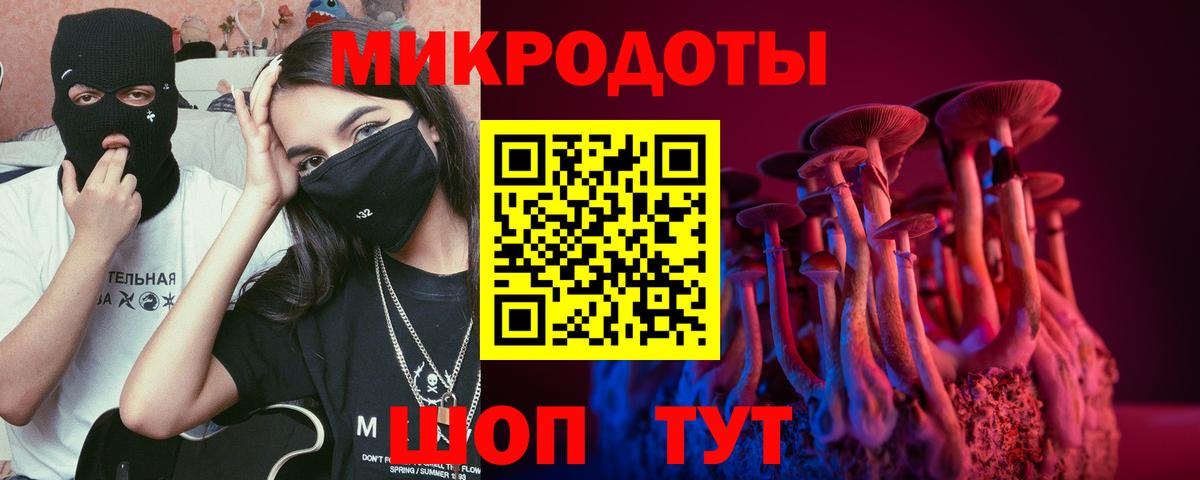 Псилоцибиновые грибы прущие грибы Вольск